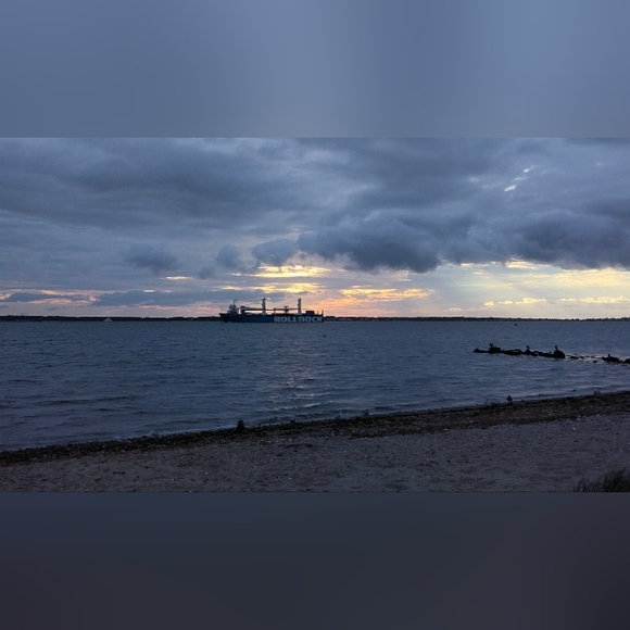 Meet your Posher, Kat Pocket - Picture 3 of 3